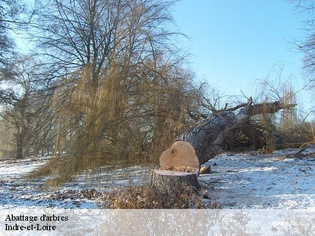 Abattage d'arbres Indre-et-Loire 