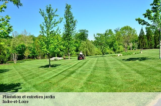 Plantation et entretien jardin Indre-et-Loire