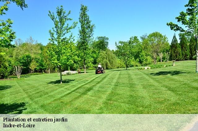 Plantation et entretien jardin Indre-et-Loire 