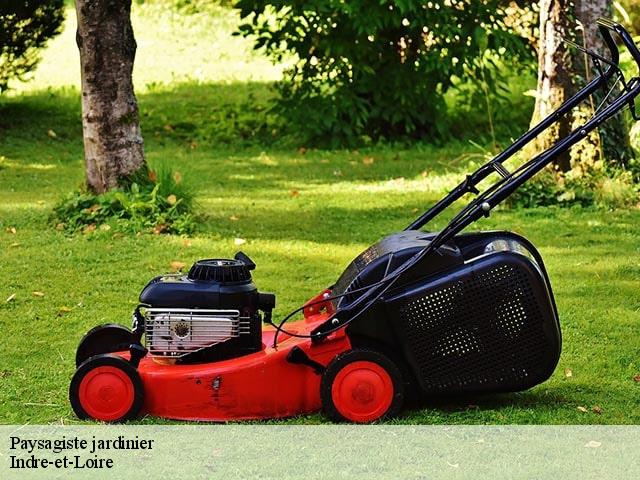 Paysagiste jardinier Indre-et-Loire