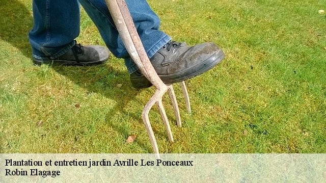 Plantation et entretien jardin  avrille-les-ponceaux-37340 Robin Elagage