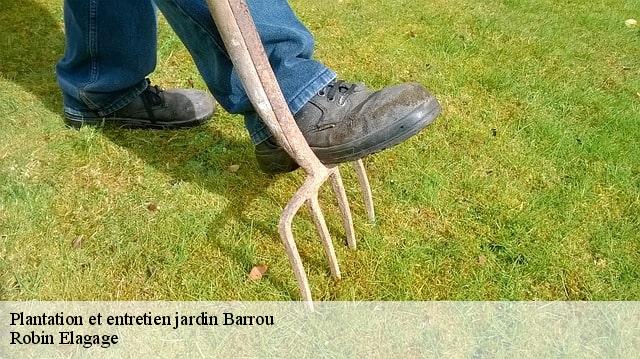Plantation et entretien jardin  barrou-37350 Robin Elagage