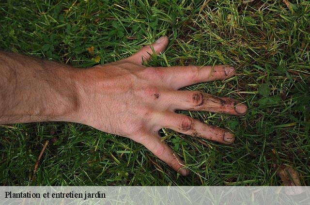 Plantation et entretien jardin