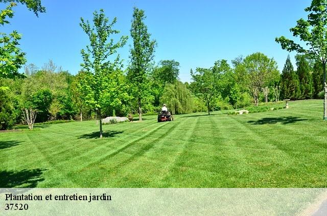 Plantation et entretien jardin  37520