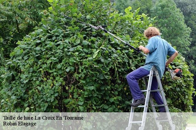 Taille de haie  la-croix-en-touraine-37150 Robin Elagage