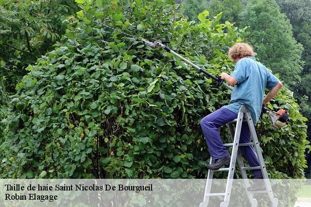 Taille de haie saint-nicolas-de-bourgueil-37140 Robin Elagage