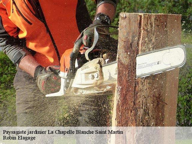 Paysagiste jardinier  la-chapelle-blanche-saint-martin-37240 Robin Elagage