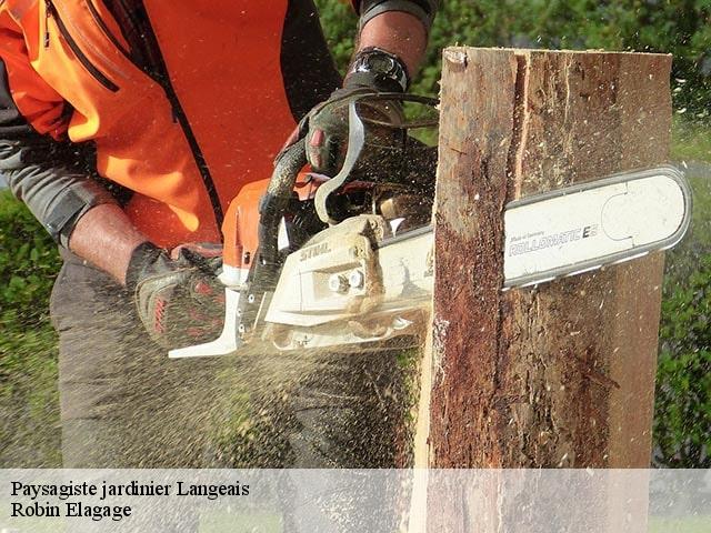 Paysagiste jardinier langeais-37130 Robin Elagage
