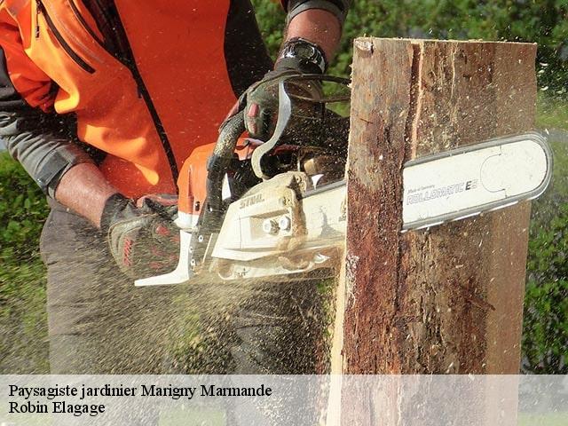 Paysagiste jardinier  marigny-marmande-37120 Robin Elagage