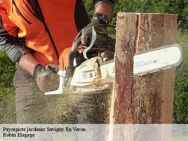 Paysagiste jardinier savigny-en-veron-37420 Robin Elagage
