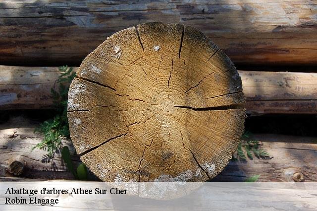 Abattage d'arbres  athee-sur-cher-37270 Robin Elagage