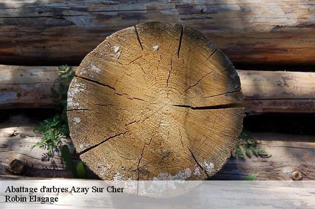 Abattage d'arbres  azay-sur-cher-37270 Robin Elagage