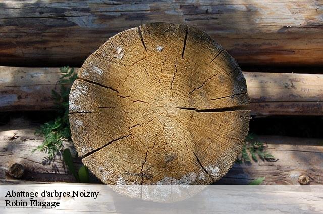 Abattage d'arbres noizay-37210 Robin Elagage