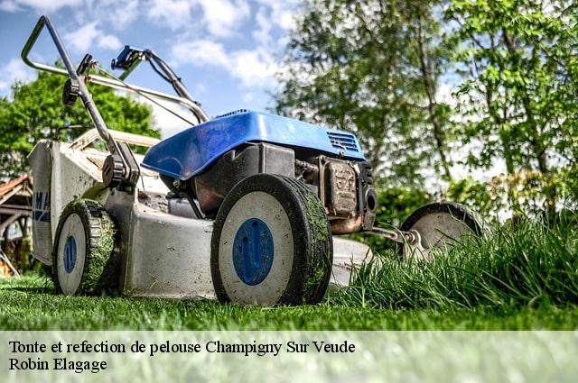 Tonte et refection de pelouse  champigny-sur-veude-37120 Robin Elagage