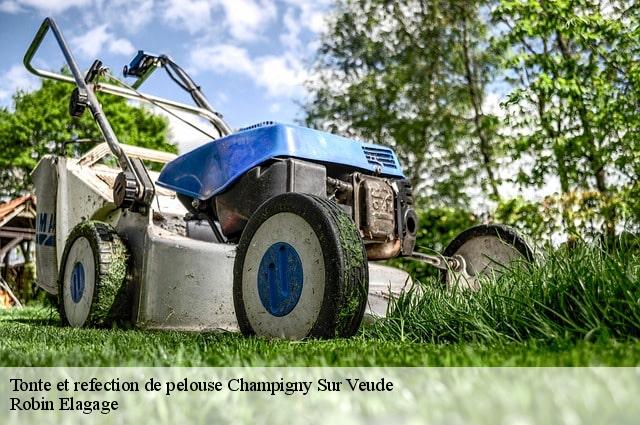 Tonte et refection de pelouse champigny-sur-veude-37120 Robin Elagage