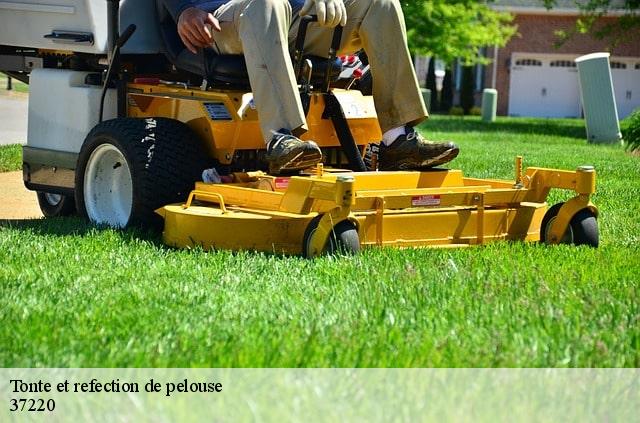 Tonte et refection de pelouse 37220