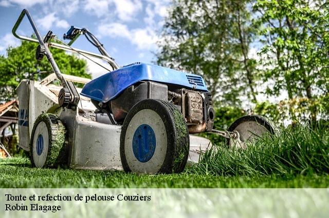 Tonte et refection de pelouse  couziers-37500 Robin Elagage