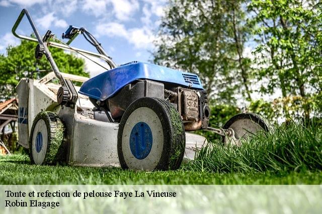 Tonte et refection de pelouse  faye-la-vineuse-37120 Robin Elagage