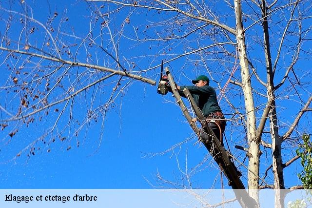 Elagage et etetage d'arbre