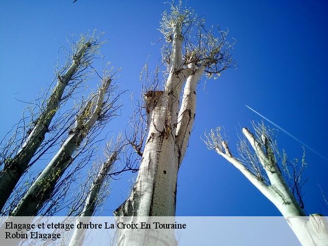 Elagage et etetage d'arbre la-croix-en-touraine-37150